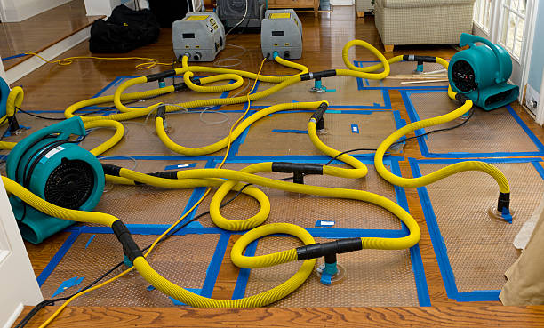 Professional Crawl Space Water Removal technician working in Lipan, TX